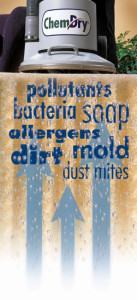 Carpet-Extraction-Composite_0-137x300