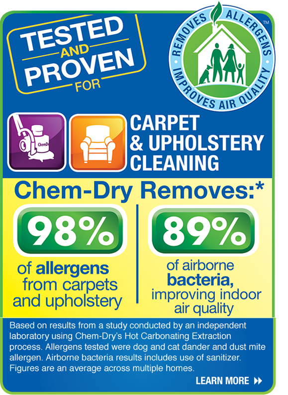 Summer Upholstery Cleaning